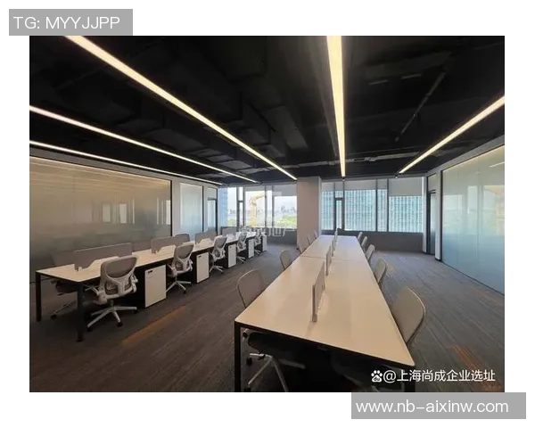 南京飞盘队的运营体系与战术创新探索之路 南京飞盘队的运营体系与战术创新探索之路