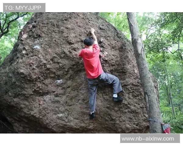杭州攀岩队逆袭之旅揭秘：从默默无闻到全国冠军的奋斗历程